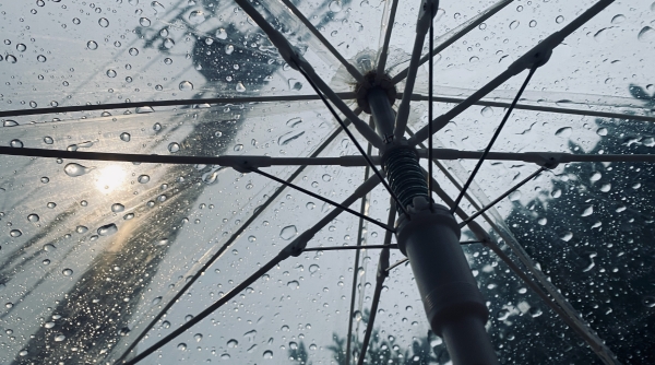 picture taken from inside an umbrella, raindrops can be seen