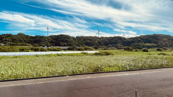 picture of wind turbines in the bacckground